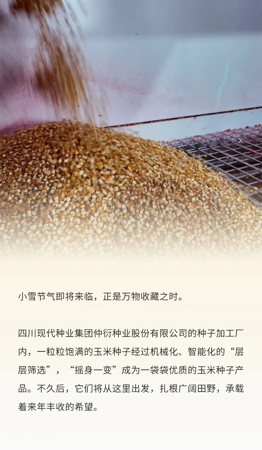 �������Ӽӹ��߹���pic1.jpg