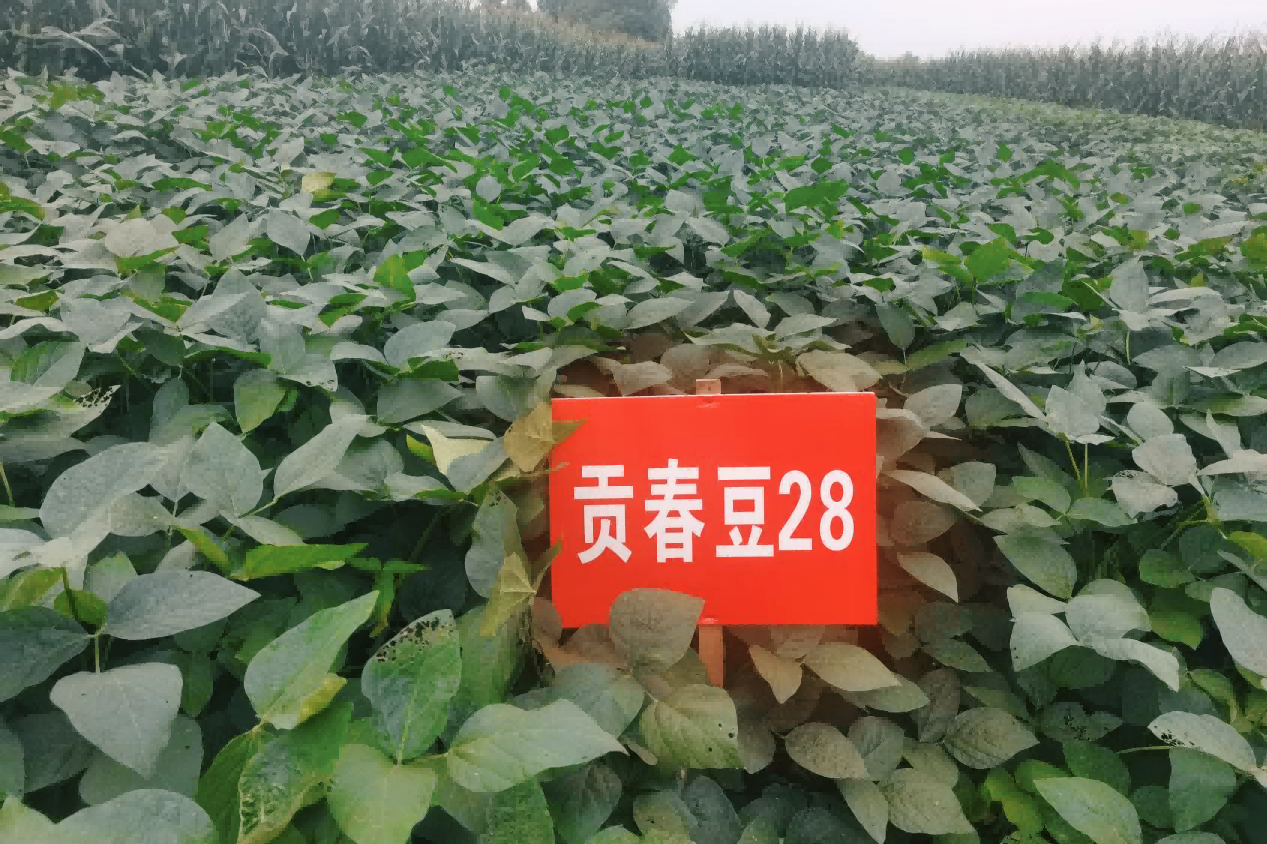 ������28pic2(1).png