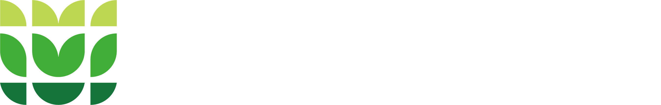 SGʤ�ι���
