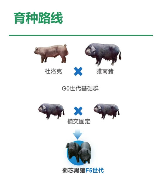 7.10��о����Ʒ��������ͼ2.png